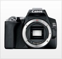 Canon EOS 250D